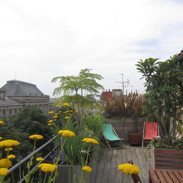 Jardin Suspendu