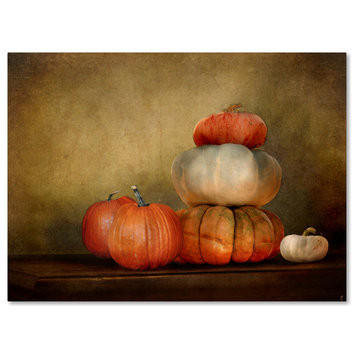 Jai Johnson 'Pumpkins Still Life' Canvas Art, 47 x 35