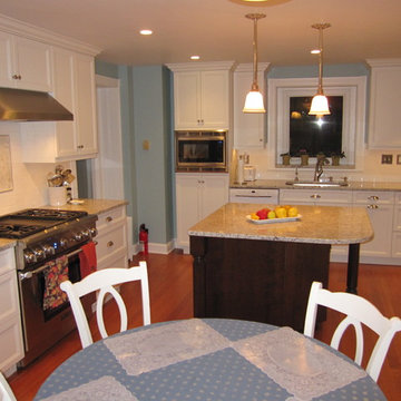 Bryn Mawr Kitchen Remodel