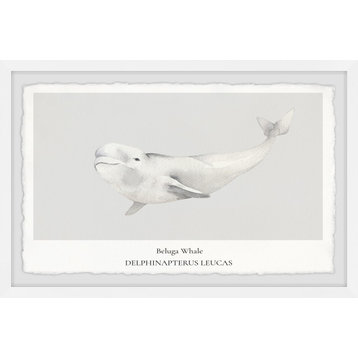 "Beluga Whale" Framed Painting Print, 12x8