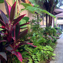Landscape Ideas