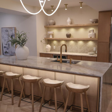 Taj Mahal Basement Kitchen Project