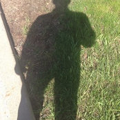 Braden MacDonald's photo