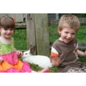 Kerri Morrison's photo