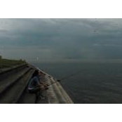 Amy Schwartz's photo