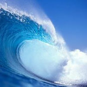 Alexandre Nguyen's photo