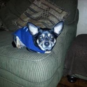 Megan Sink's photo