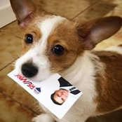 Antonello Capalozza's photo