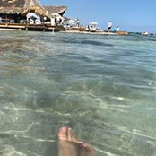 Fox Fox's photo