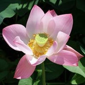 Bob Schulz's photo