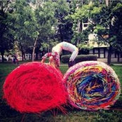 Aubrey Vollrath's photo
