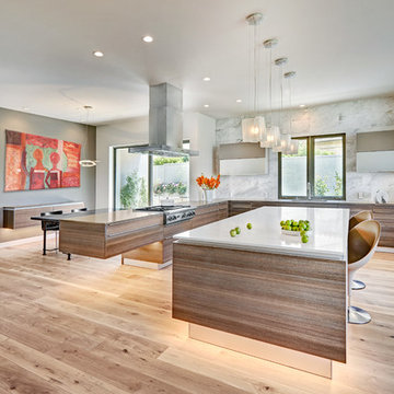 El Dorado Hills Modern Art Home