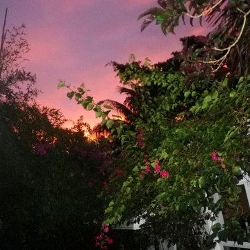 south florida skyline at sunset