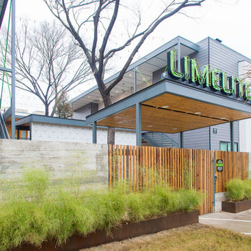 Limelite 31