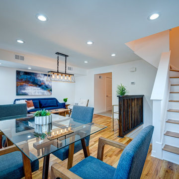 Lincoln Park 3 level - complete renovation to sell