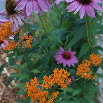 Maple Grove Steel Garden