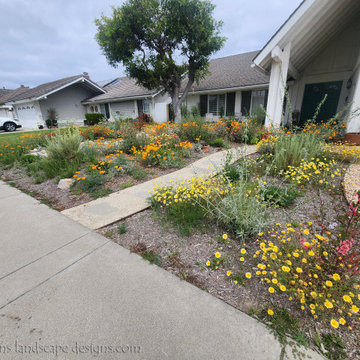 California Native Huntington Beach Garden