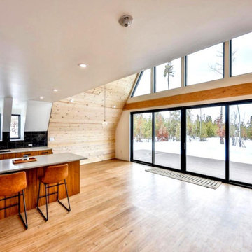 Colorado Mountain A- Frame
