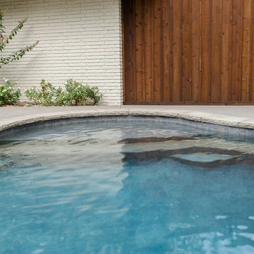 Backyard Oasis
