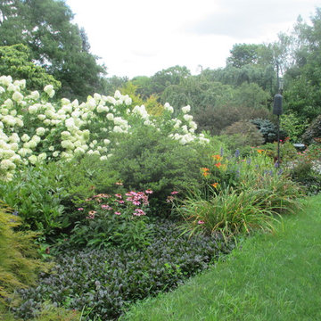 Pollinator Garden's
