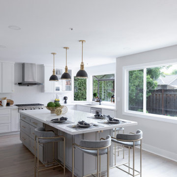 Sunnyvale home remodel