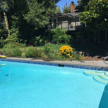 Modern Deck Update to Mid-Centruy home in West Slope