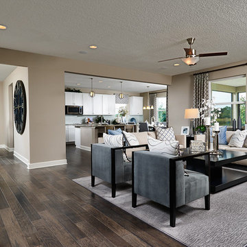 Dalton model home in Florida