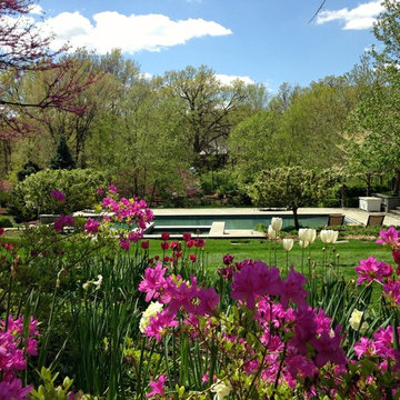 Hardscape/Pool