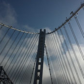 Paula Hester's photo