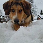 Jonathan Moreau's photo