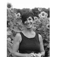 Harwood Studio 17 Inc.'s profile photo