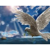 Illene Garcia-alexanders billede