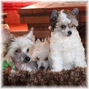 Foto von Sylvie Hébert