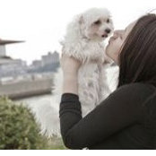 Kasumi Chung's photo