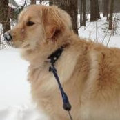 Tina Feegel-Sloan's photo