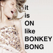 nancy bonk's photo