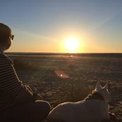 Mal O'Donnell's photo