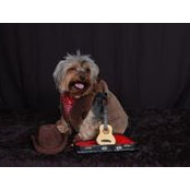 Judy Orvin's photo