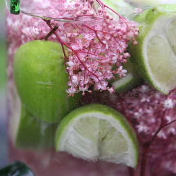 Black Lace™ Elderberry (Sambucus)