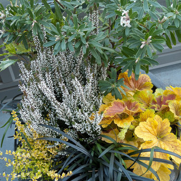Fall Fragrance