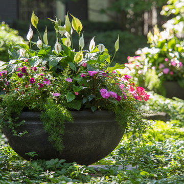 Summer Flower Container & Annual Display