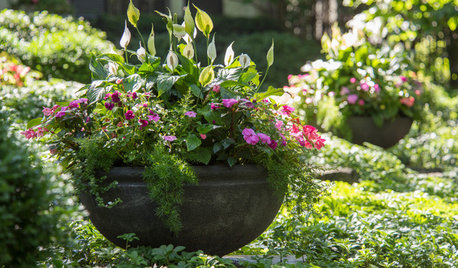 Throwing Shade: 14 Container Gardens for Low-Sun Spots