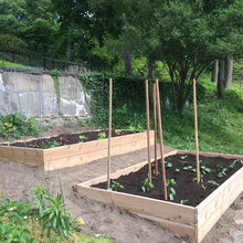 Garden Boxes