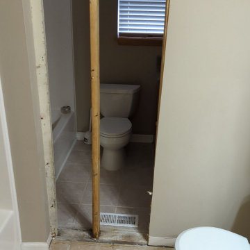Bishops Bridge Mold Remediation