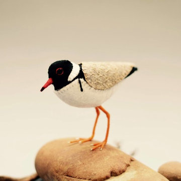 Bird Art for your Australian home