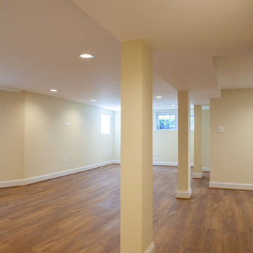 Chicago Basement Renovation