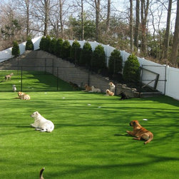 Pet Turf - Products