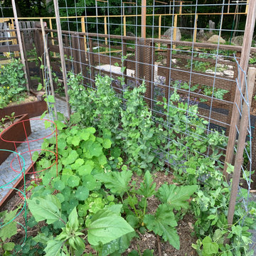 Vegetable Garden