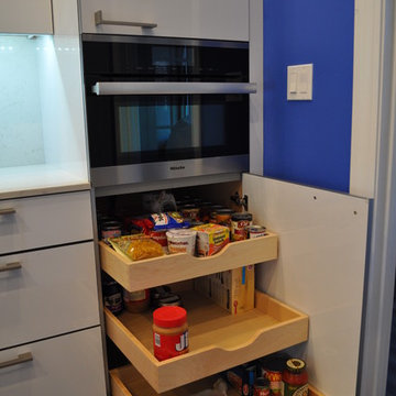 Colfax Contemporary Kitchen . Nar Fine Carpentry . Sacramento . El Dorado Hills