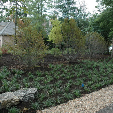 Naturalistic Contemporary